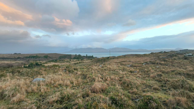 Búan_fund for Nature Restoration Éire