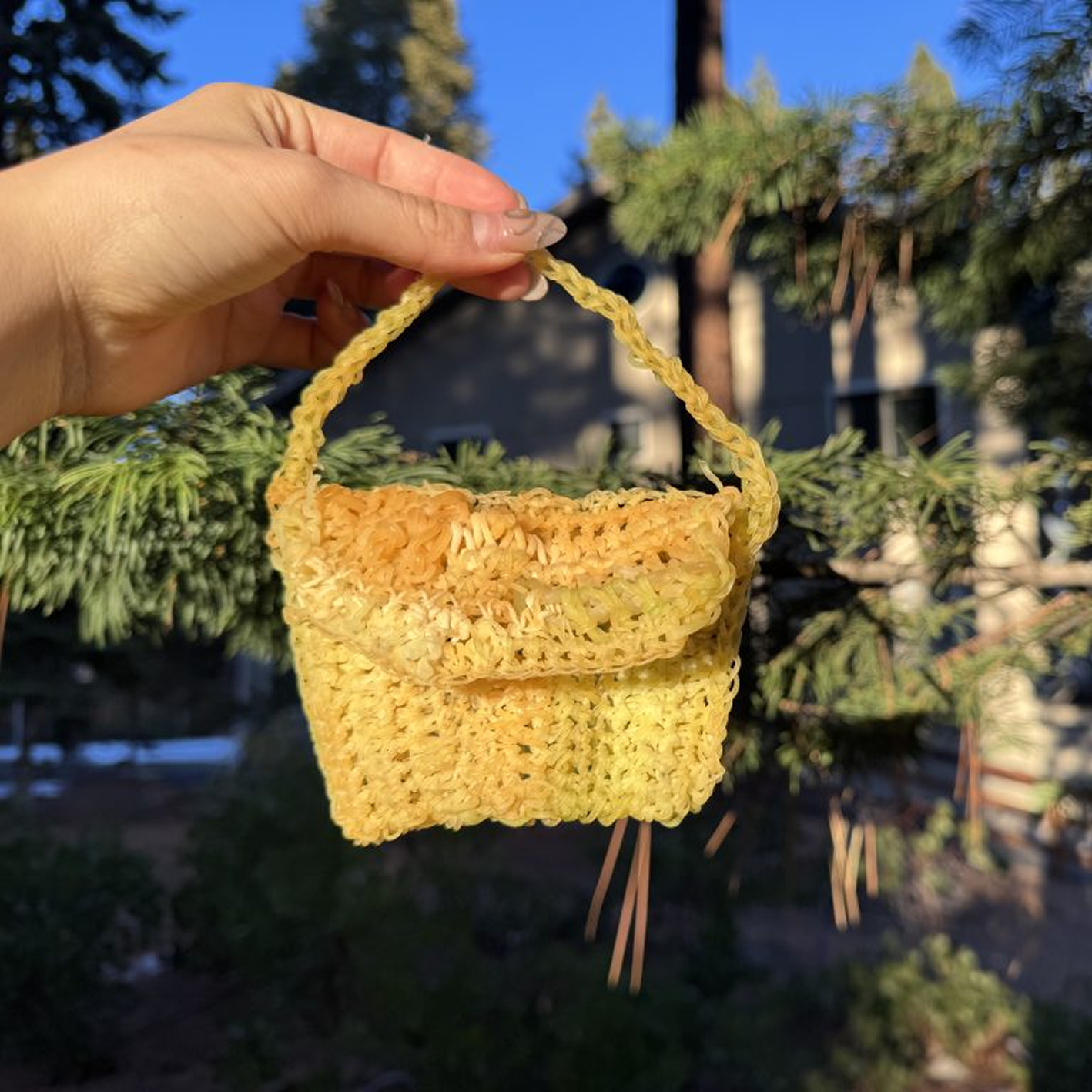 algae purse and biotextiles