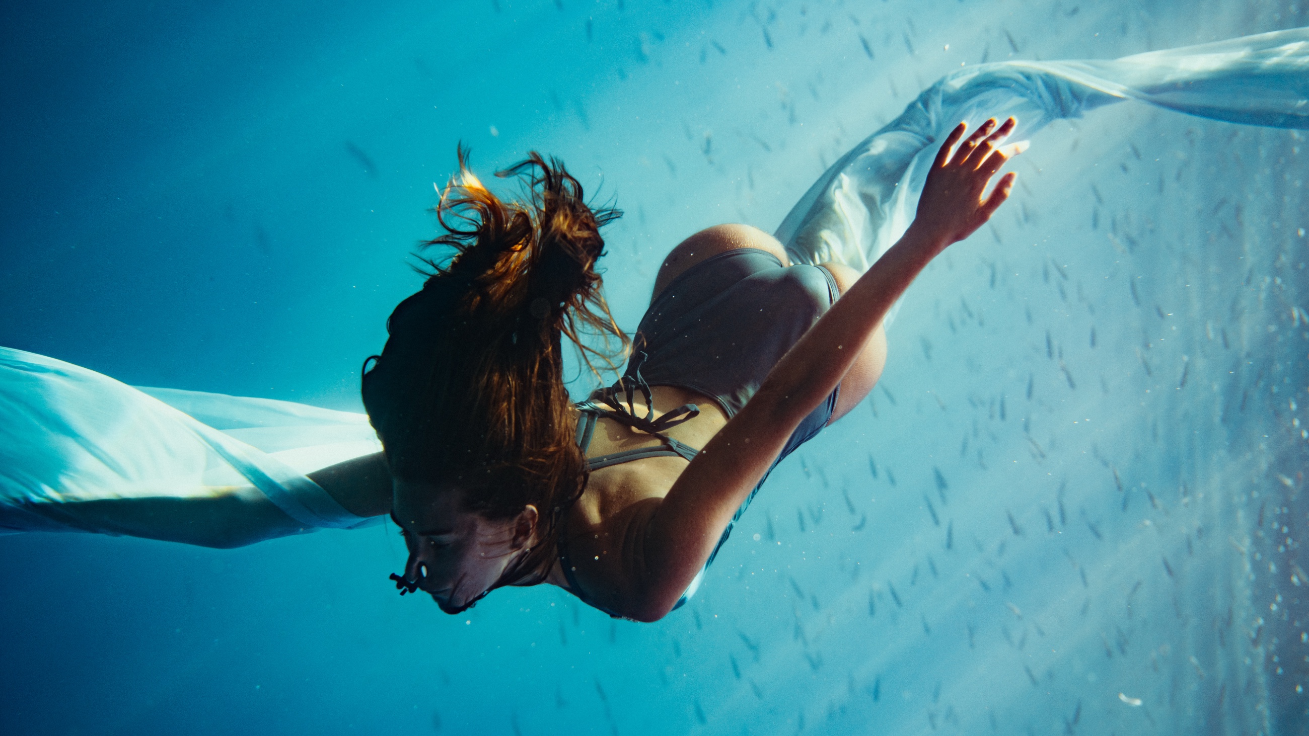 Embodied Dance & Nature Fund