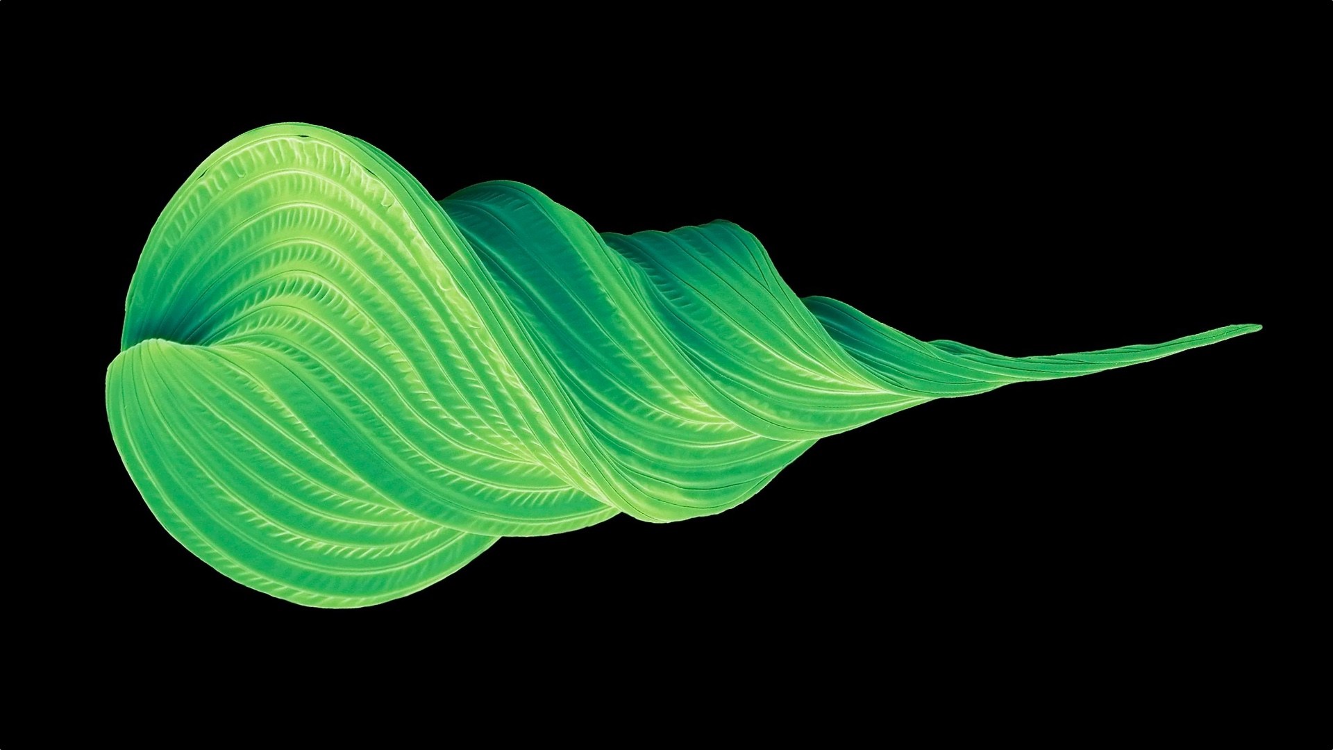 Microalgal Fund for Regenerative Futures