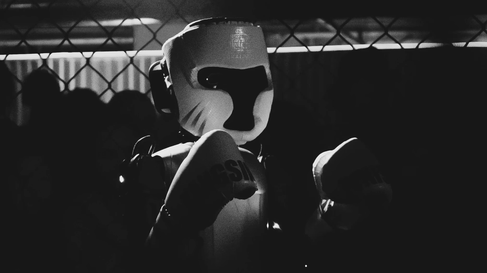 Automata Fund for Embodied Robotics