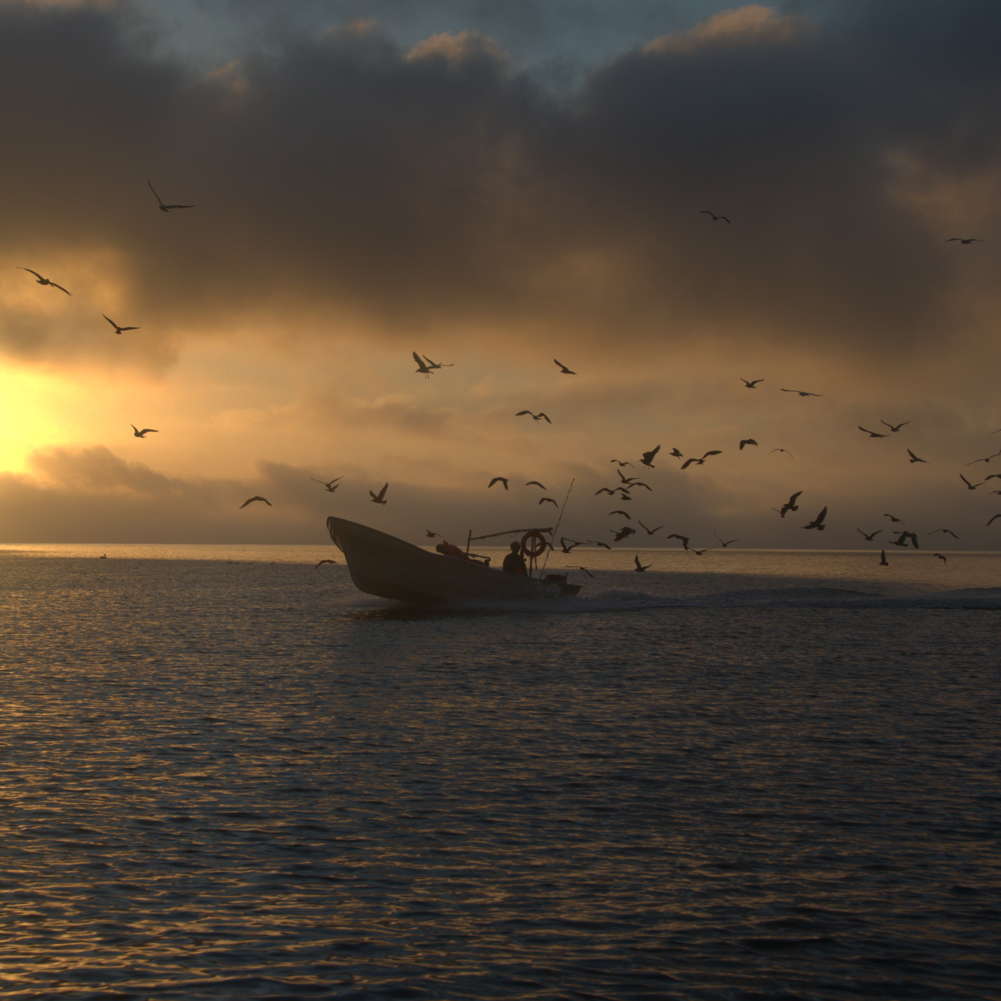 Voices from the Pacific Ocean