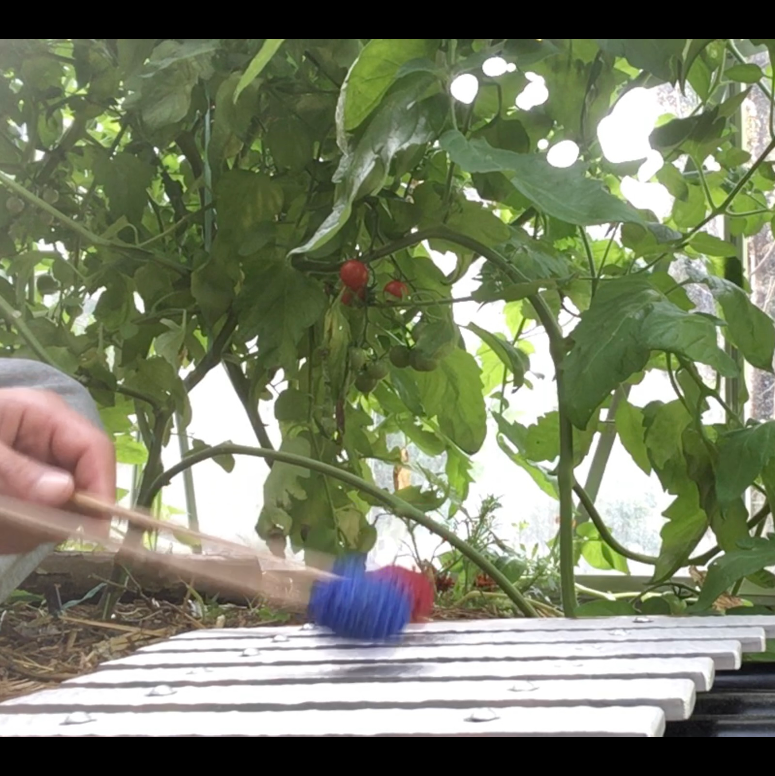 Composing Music for Permaculture Gardens