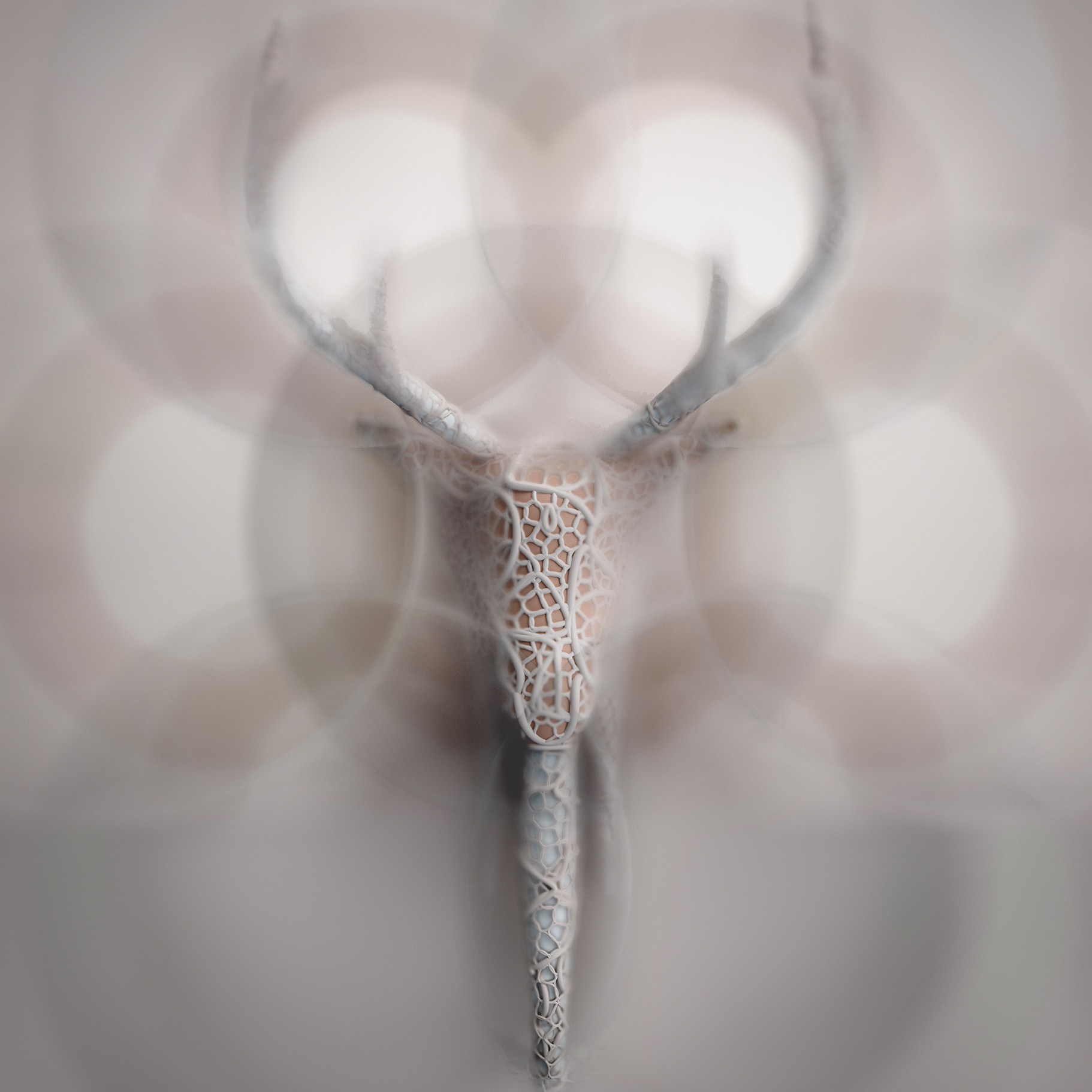 Digital Shamanism: A Holistic Vision of Technology and Life