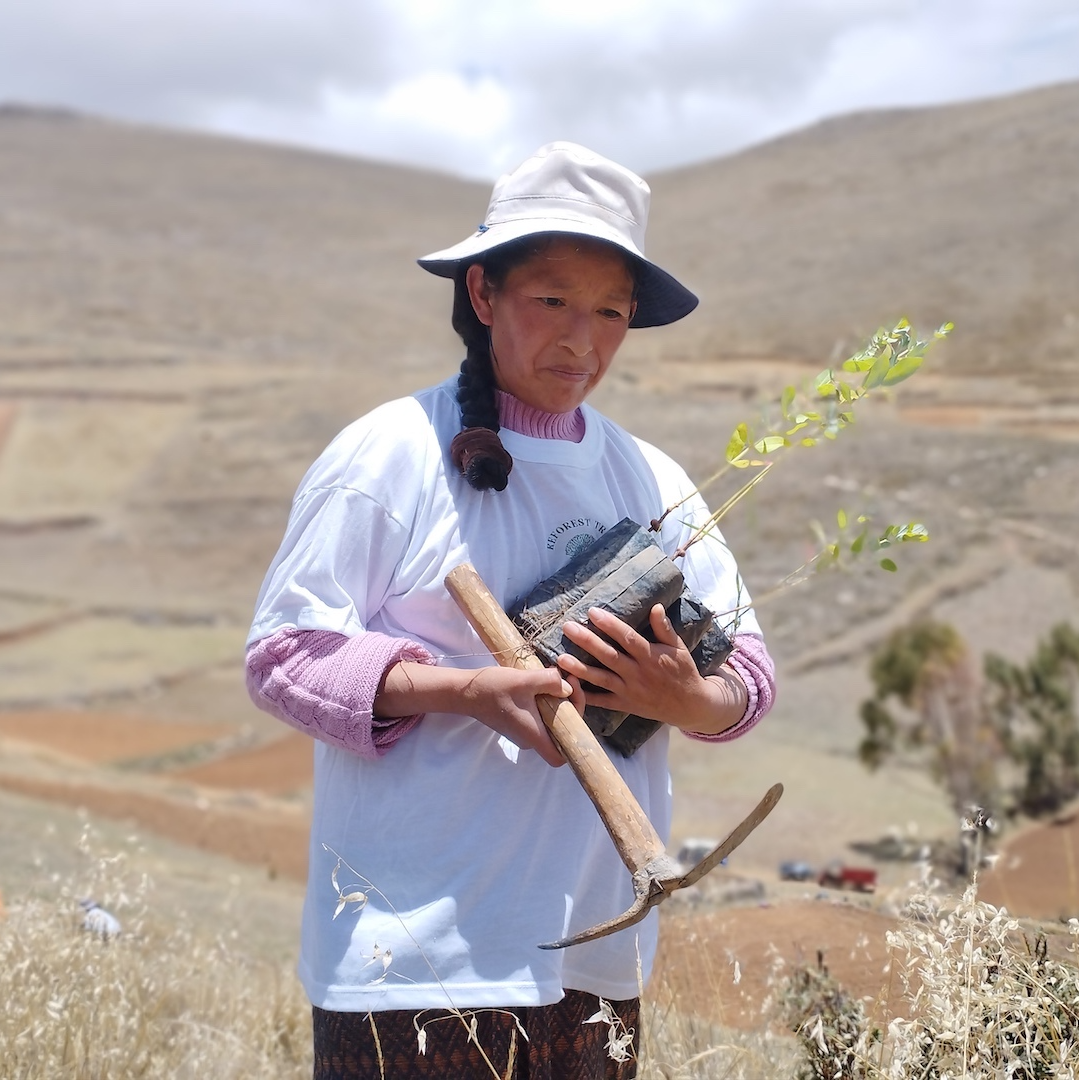 Reforest the Future