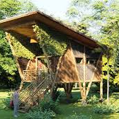 Regenerative Cabin to Agrloflorest Cultural Exchange