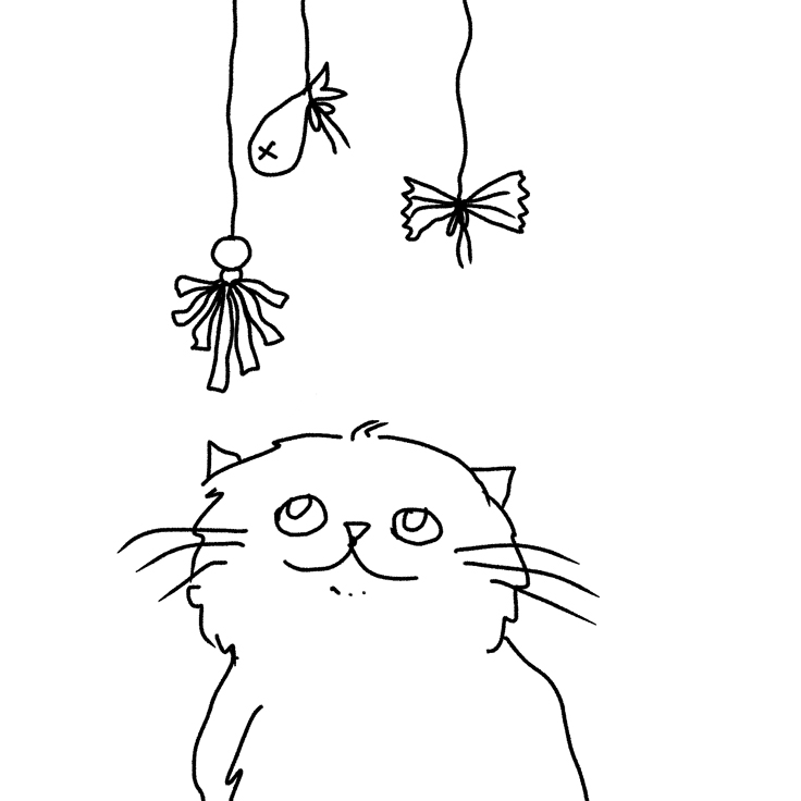 Sustainable Pets Zine