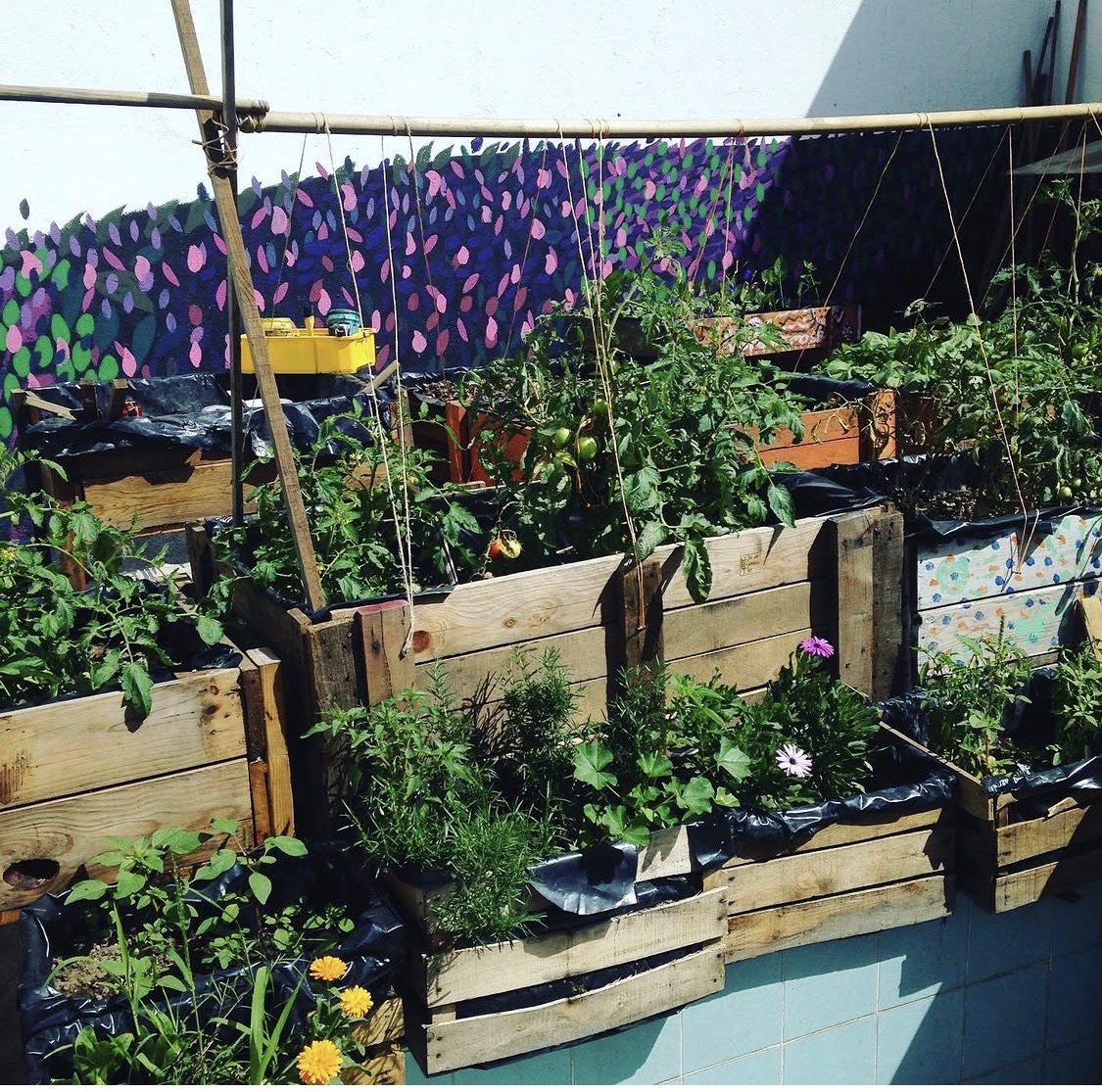 Medicina Planta — Gardens and murals to reconnect with the earth