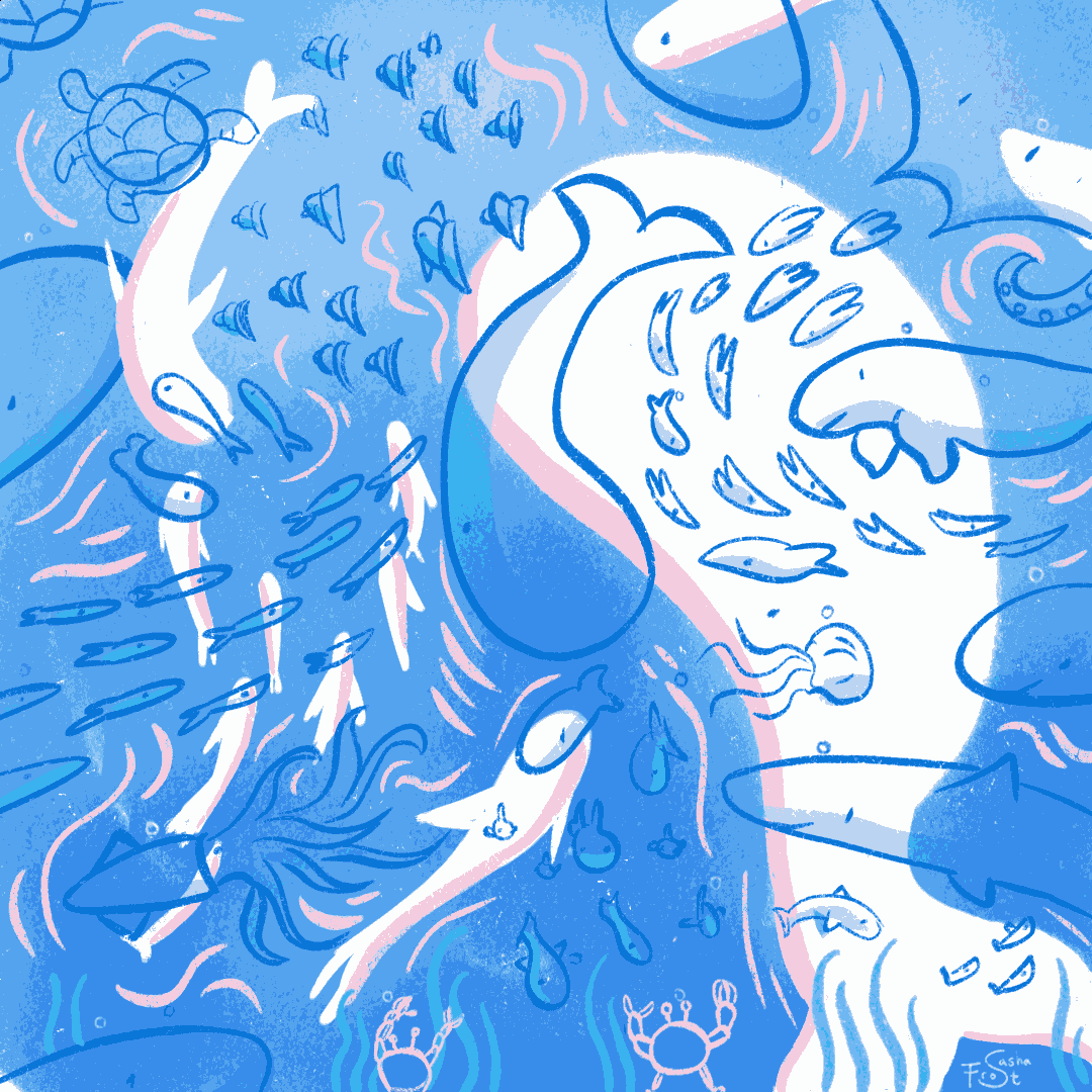 Every Other Breath - Animating the Marine Carbon Cycle