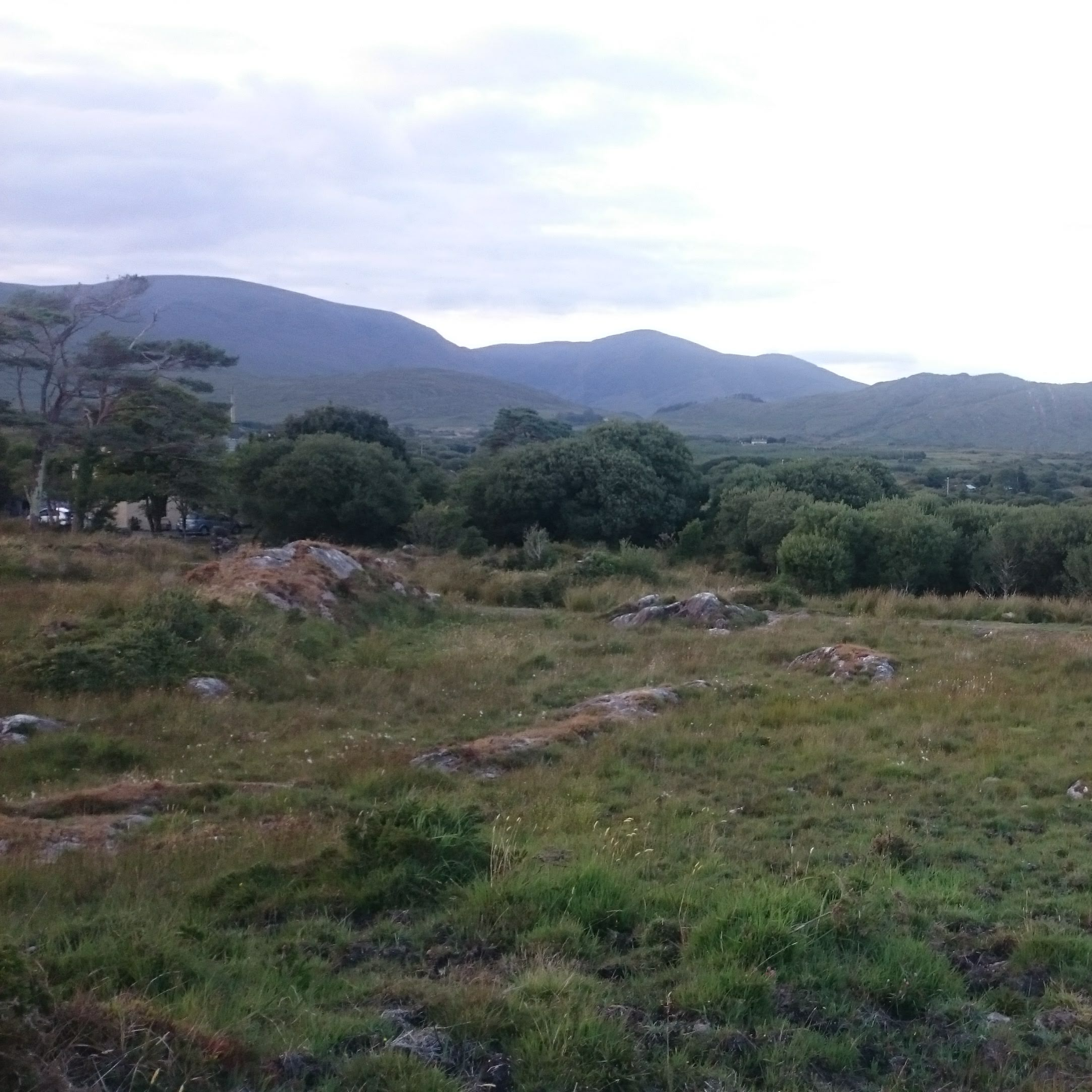 Glanlough Wetlands