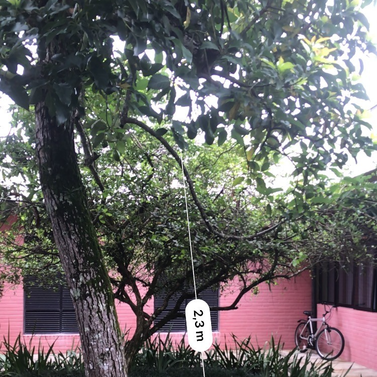 fruit collector made from PET bottles