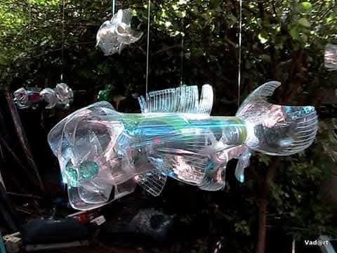 Mucusui Transformation - The Plastic Fish