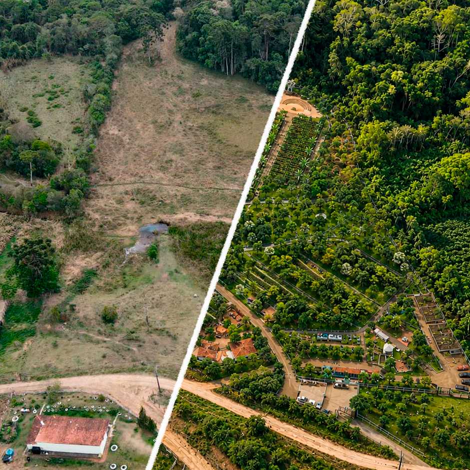 Ecovilab: From Swamp to Sanctuary