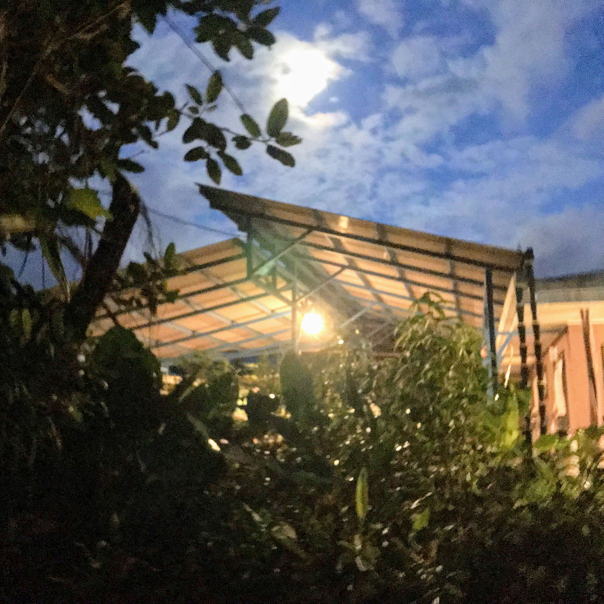 Common Grounds for a Resilient Osa Community