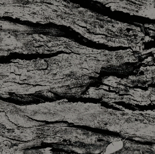 :: DeBolso :: a response to a relational crisis