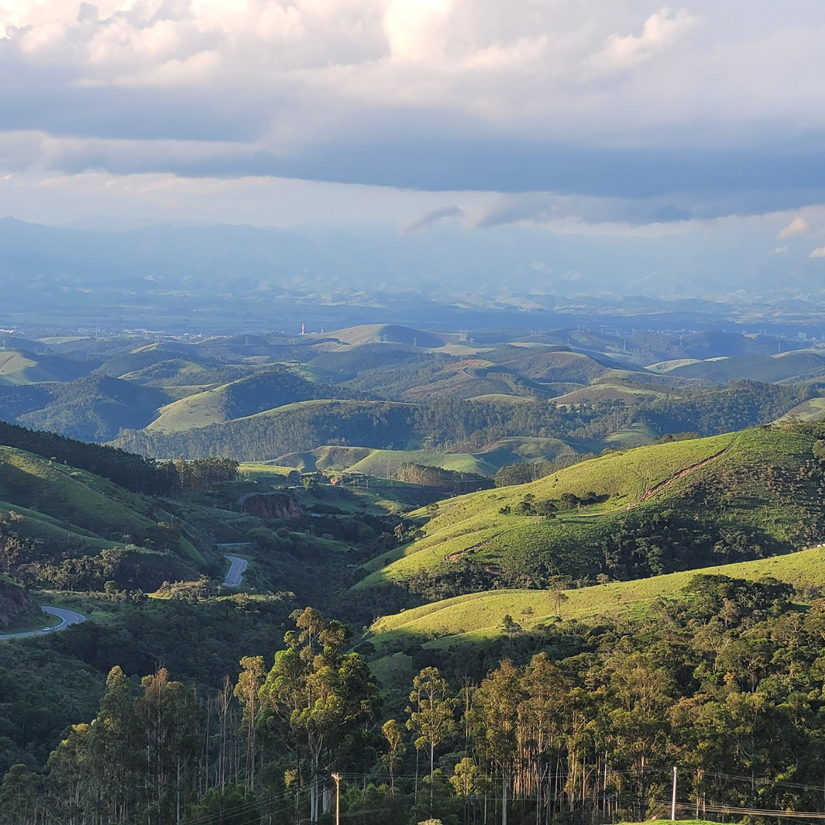 Vila Semente
