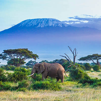 Explore the African Heritage