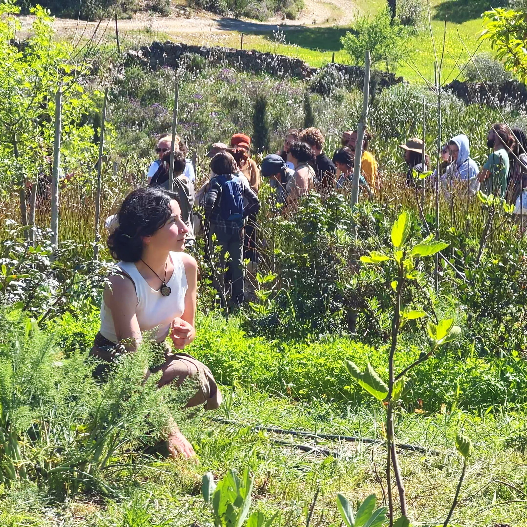Common Stories: Connecting Regenerative Cultures through Documentary Film