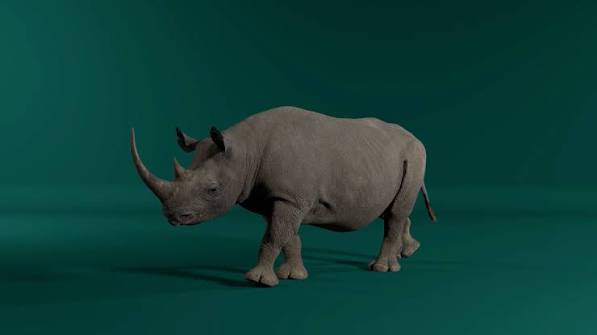 Wild Voices: Conversations with AR animals