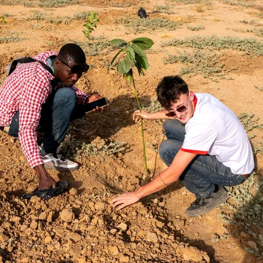 Youth's Evolution national NGO