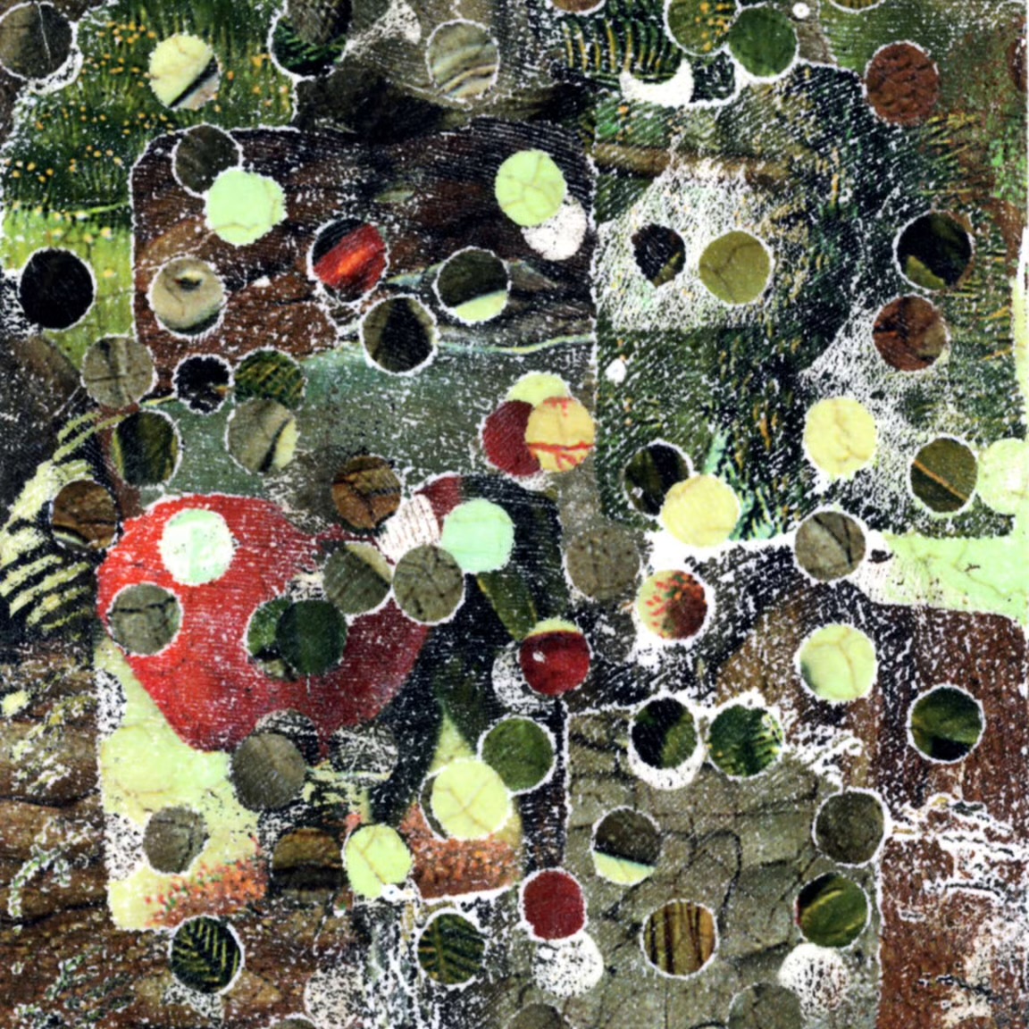 TDF Mushroom Farm