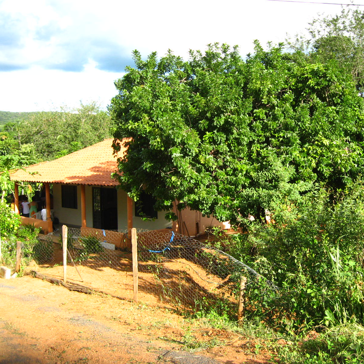 //// Stop at Cerrado's Green Belt ////