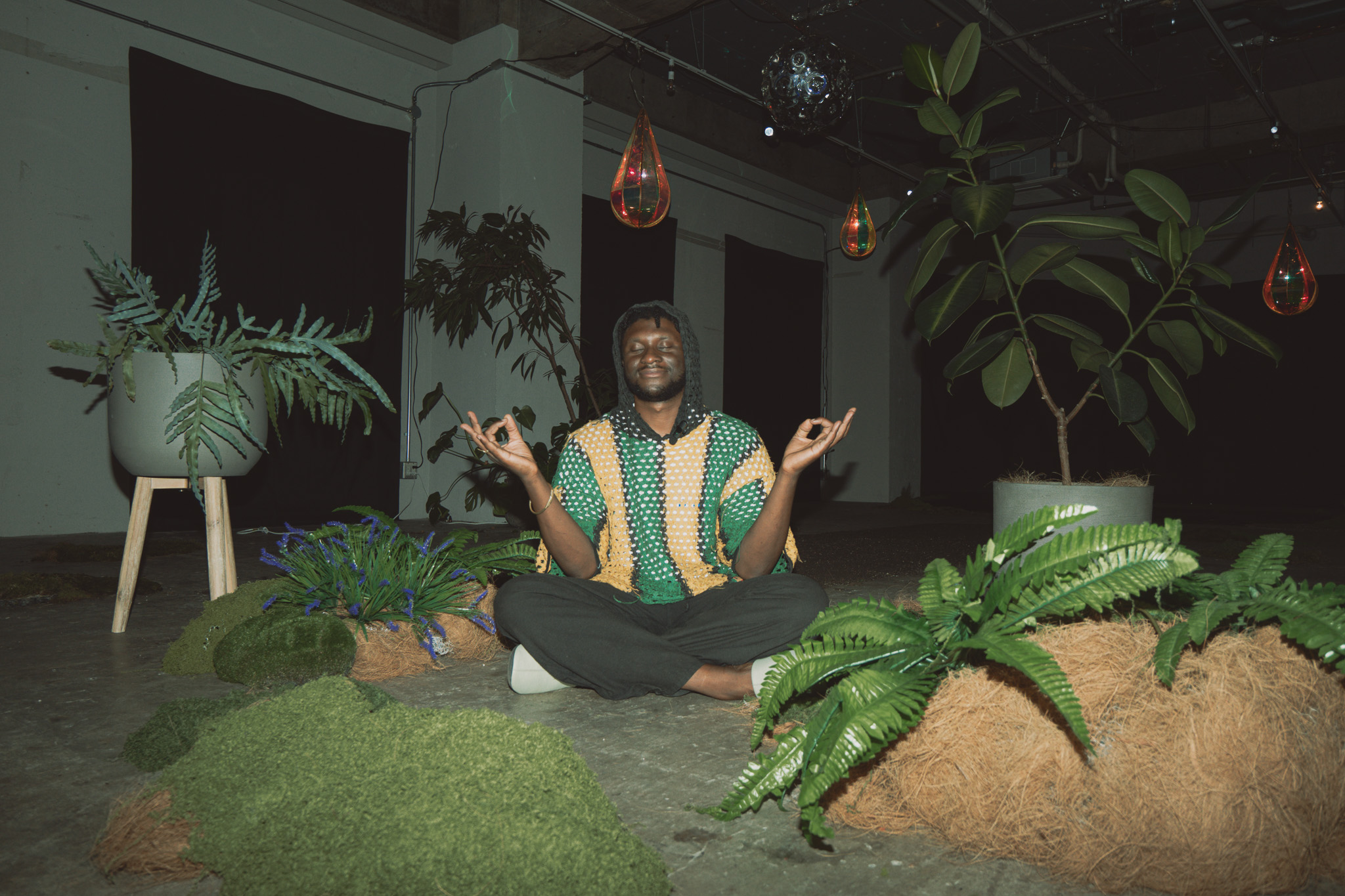 sankofa: flora "music for plants"