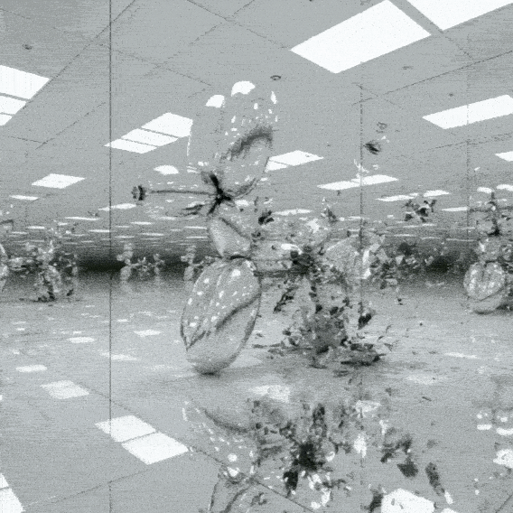Ciclo Fricciones