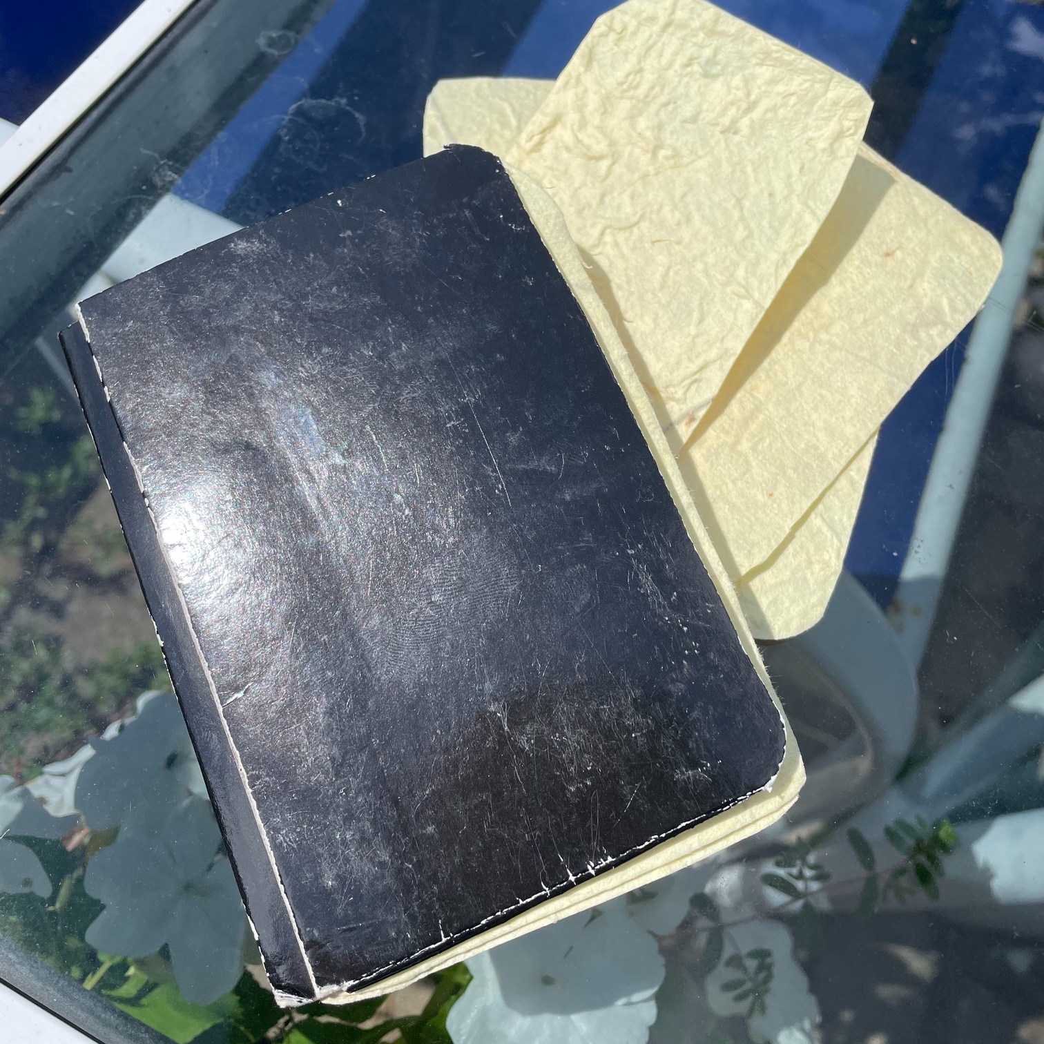 Wonder Passport