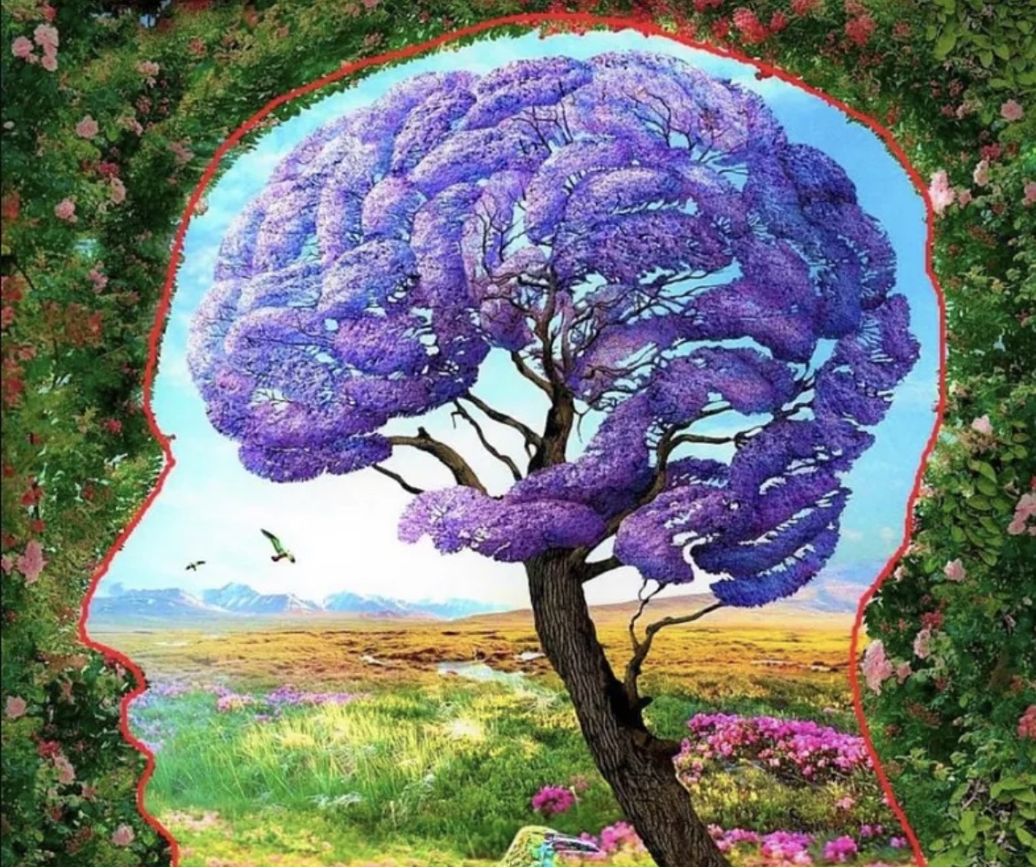 Thoughts "The Mind Garden"