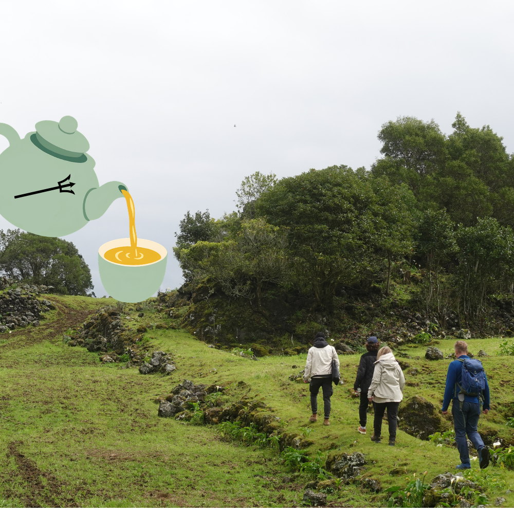 The Search for Atlan-tea's (Atlantis)