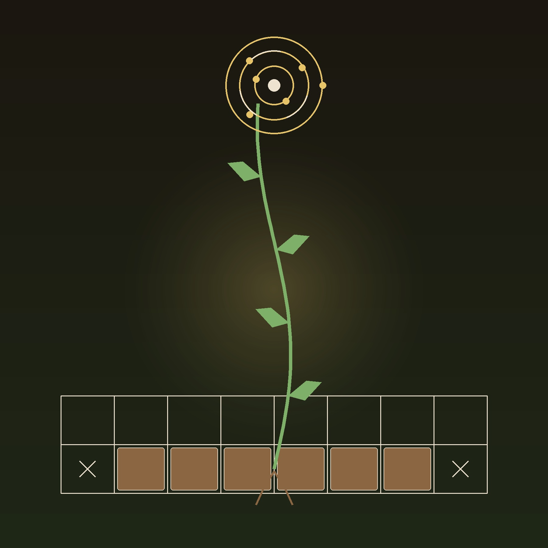 Field Notes