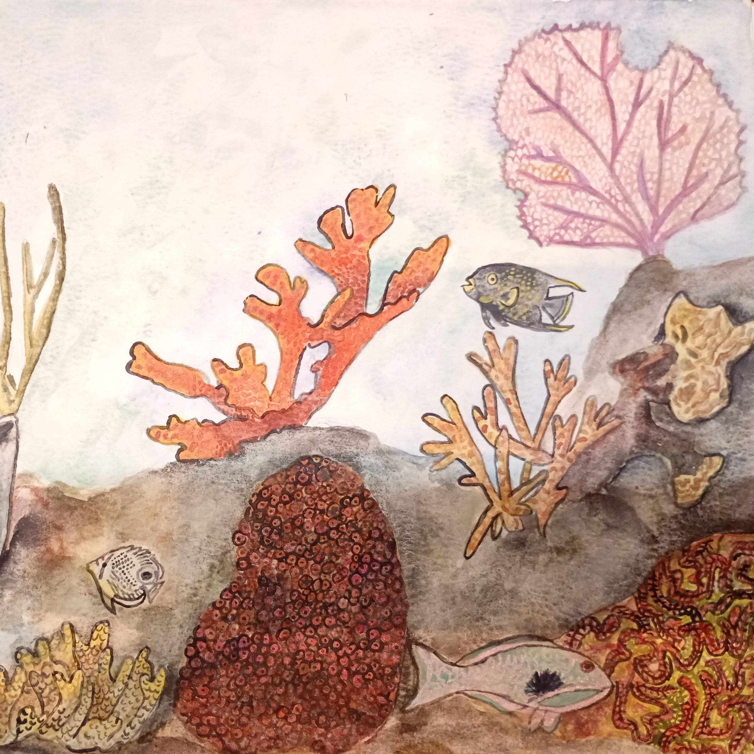 A Guide for Discovering the Mesoamerican Reef System