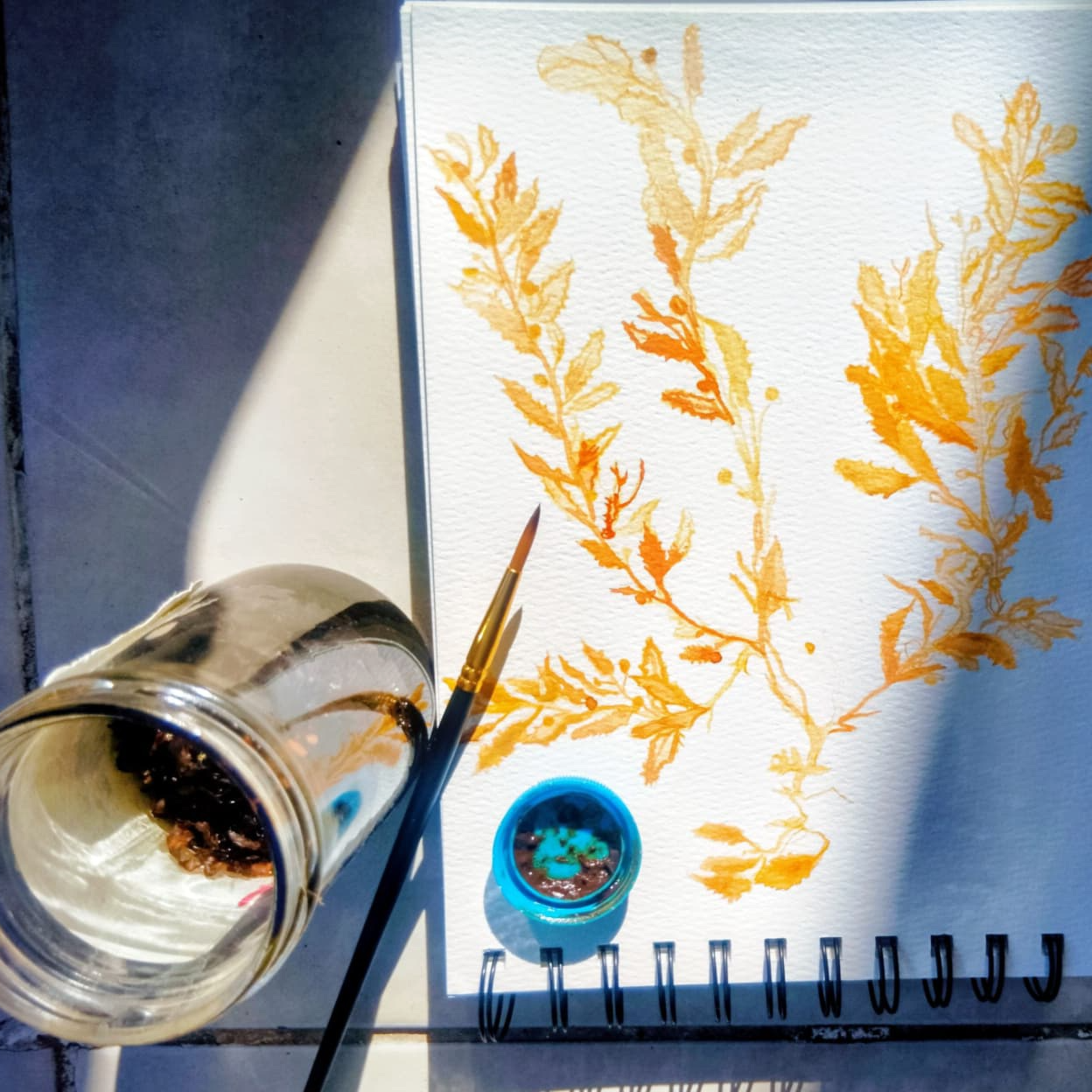 Creative Connection: Body, Land, Emotions and Nature