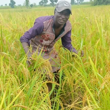 Harvest Lab
