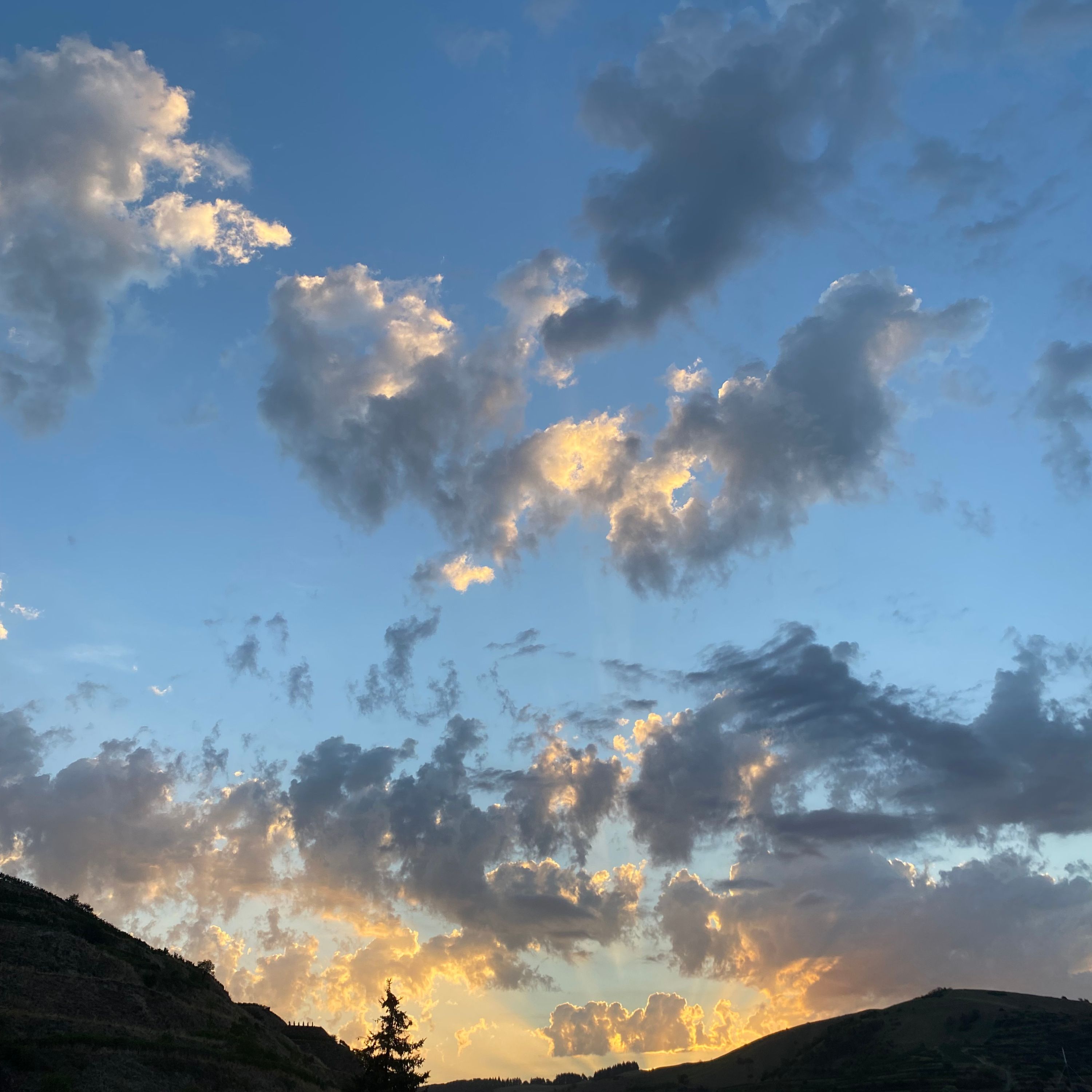THE MORNING MOVEMENT