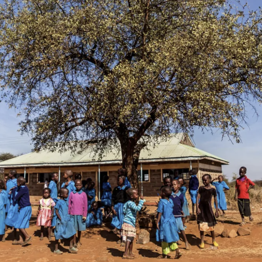 Somatic Regeneration: A Maasai Girls Initiative